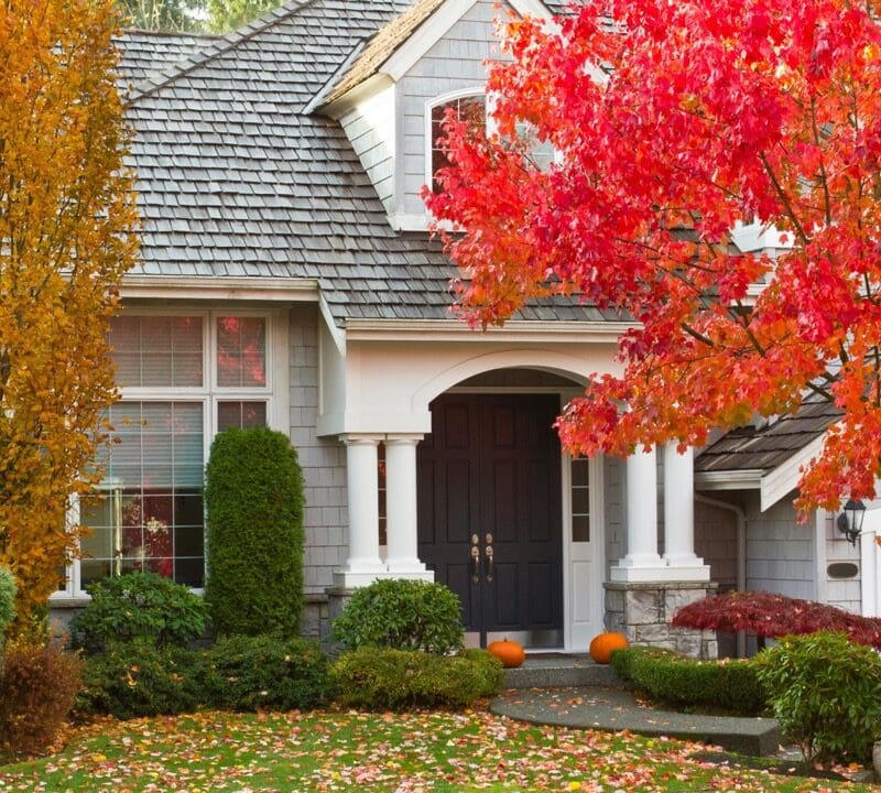 Elegant white house with black front door surrounded by vibrant red and golden autumn trees, green landscaping, and orange pumpkins by the entrance in fall